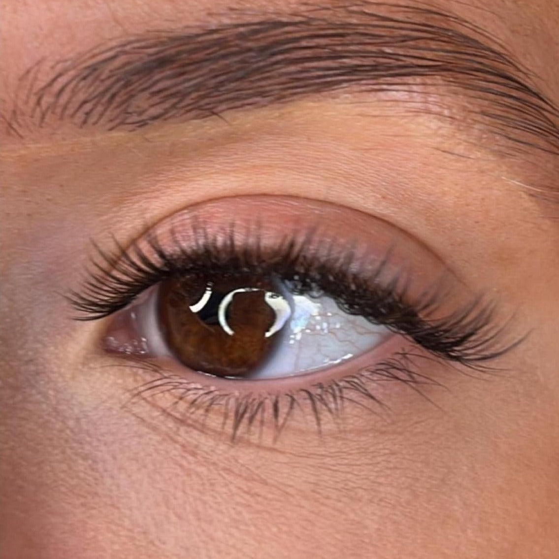 Aileen Pre Styled Lash Ribbons®