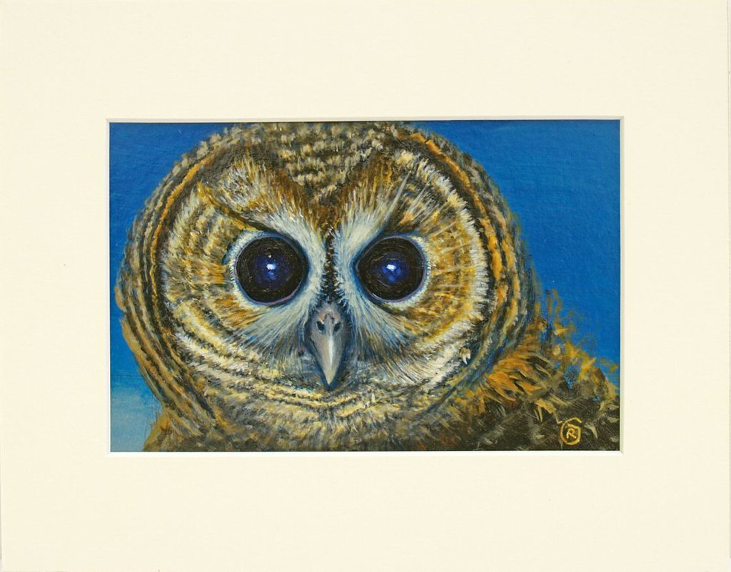 An Owl Portrait, original painting