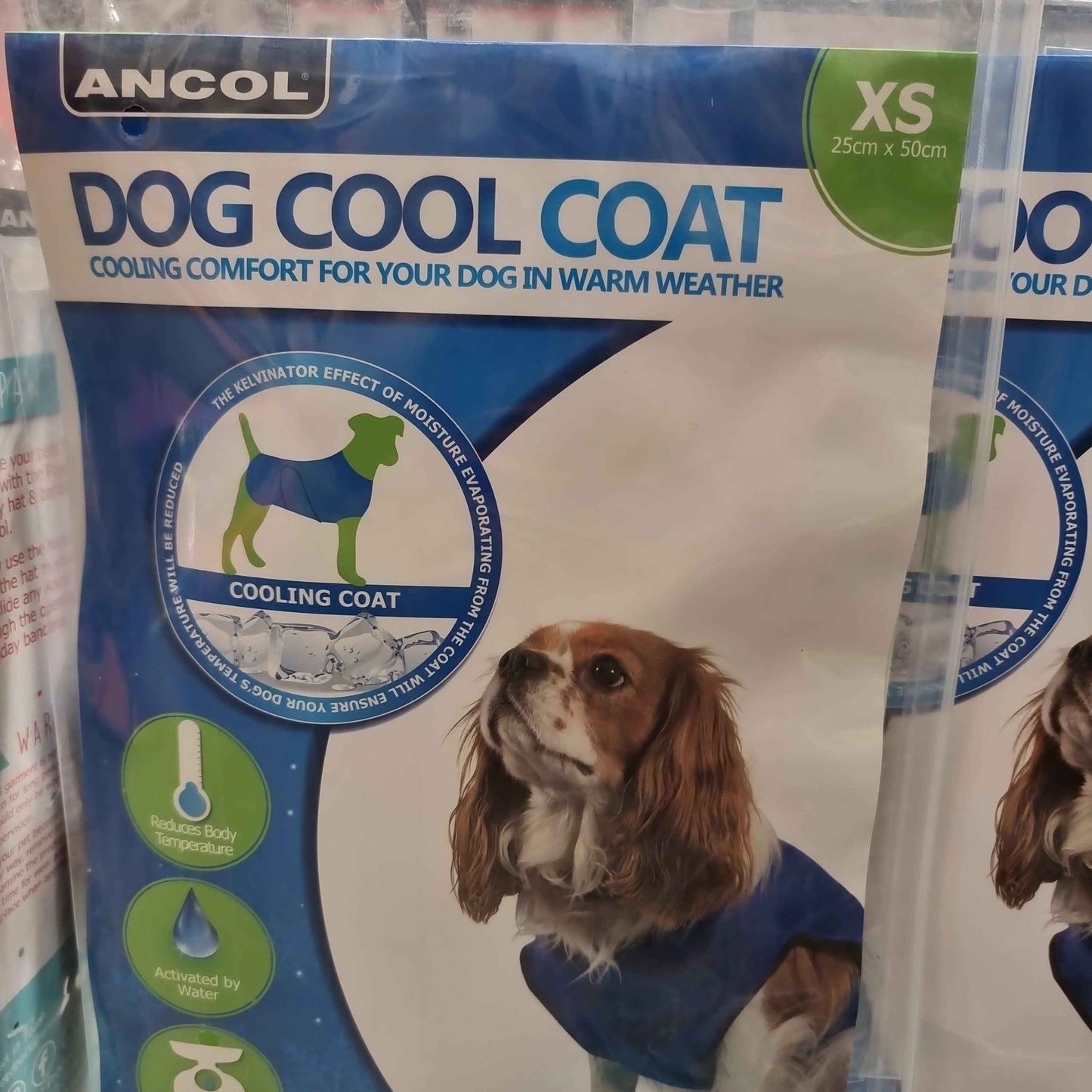 Ancol Dog Cooling Vest