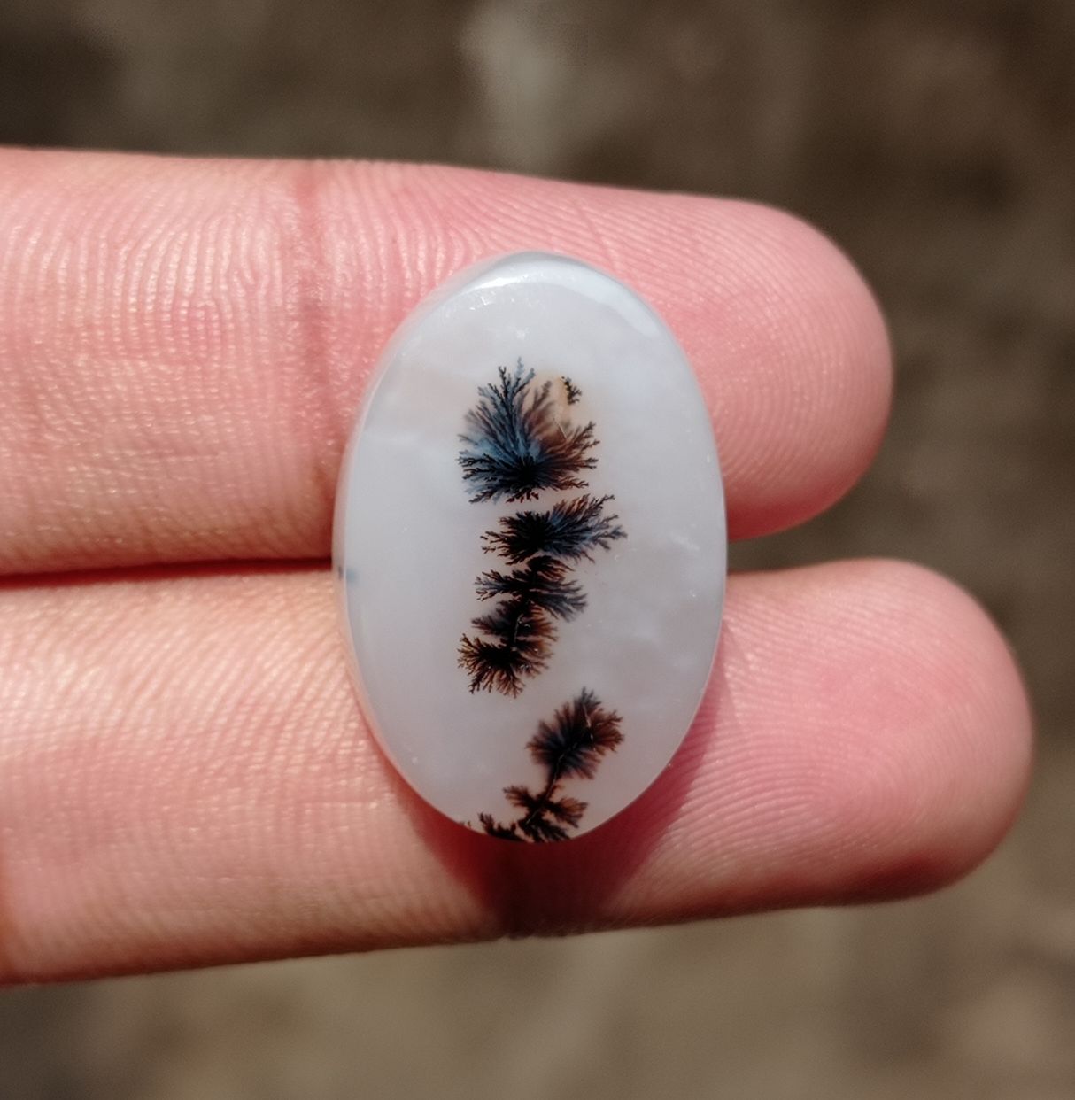 27.5ct Natural Dendritic Agate - Shajri Aqeeq -26x17x6mm