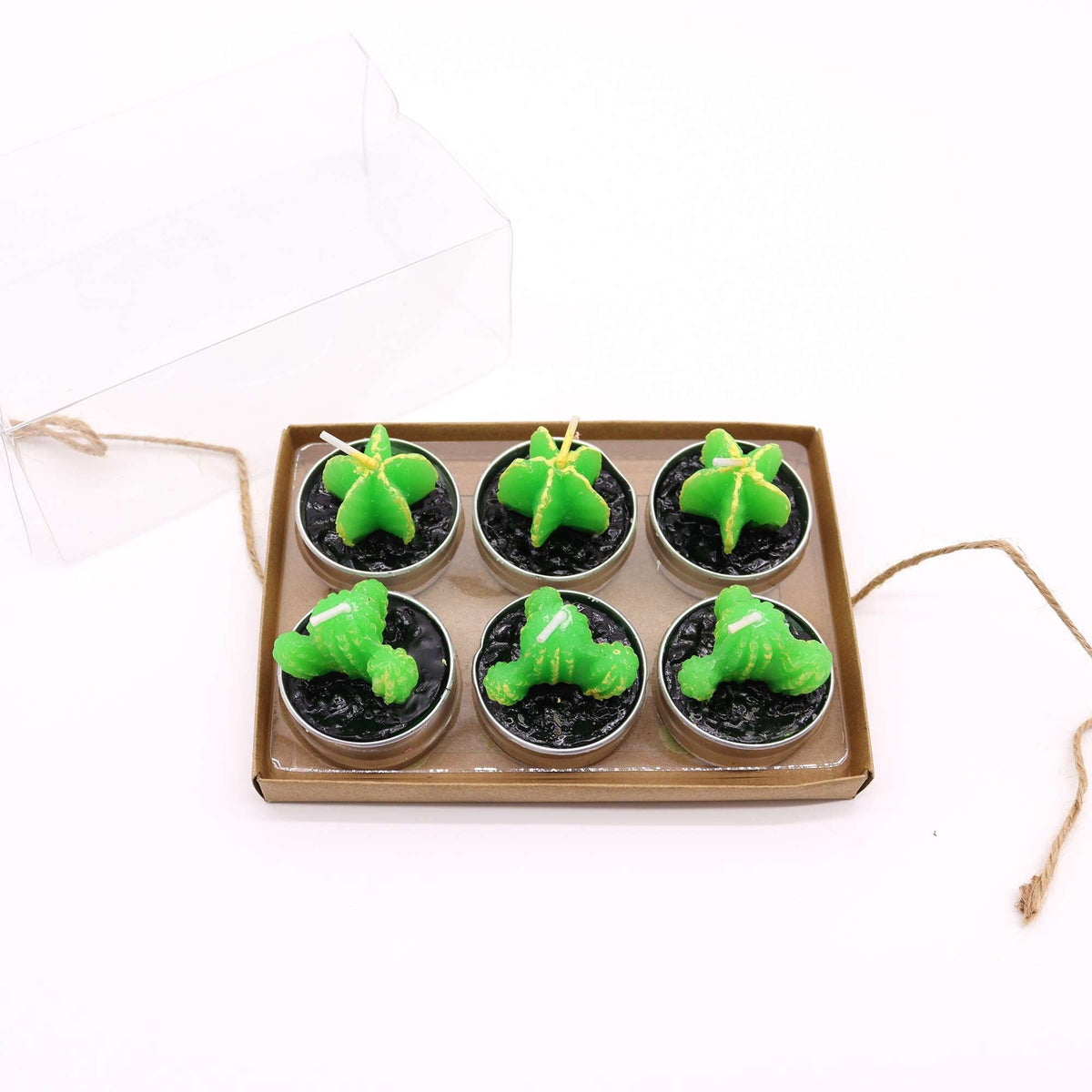Set of 6 Monks Cactus Tealights in Gift Box