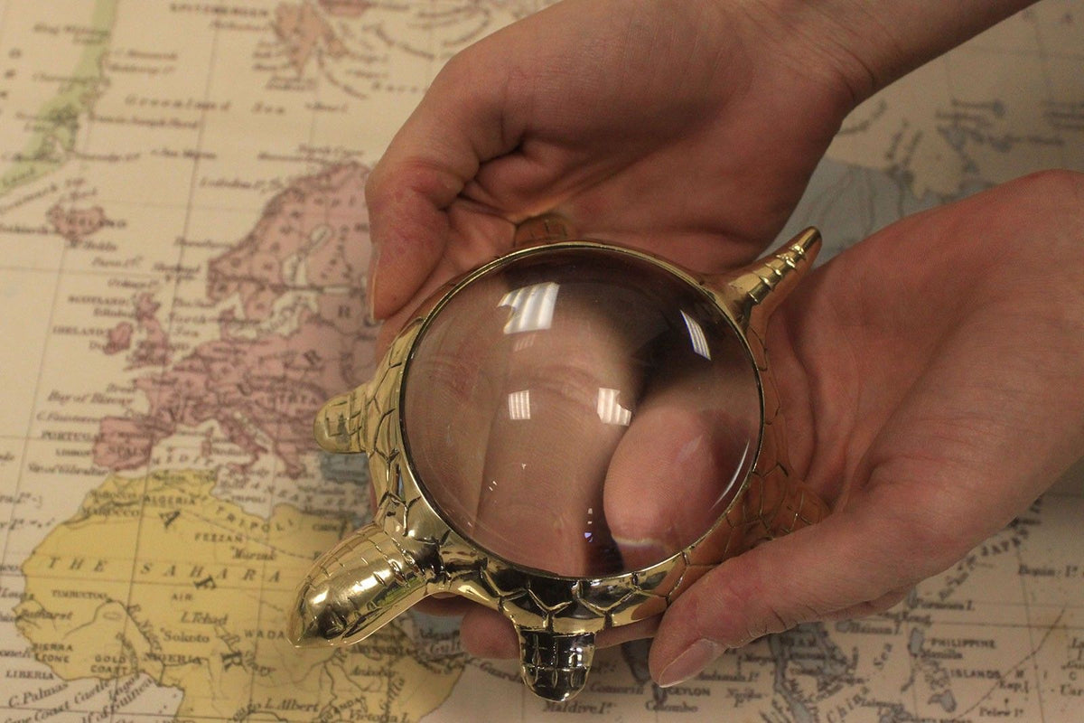 Vintage Magnifying Glasses - Table Turtle