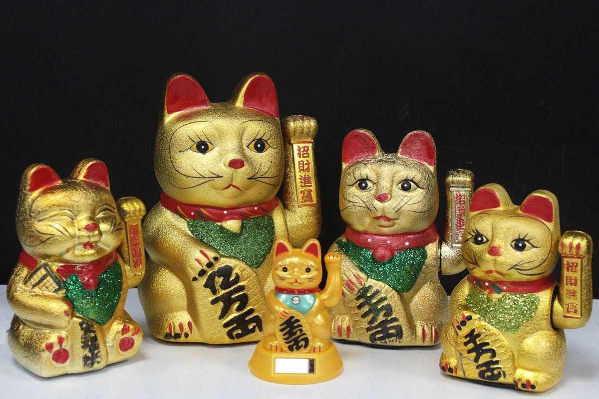 Happy Money Cat