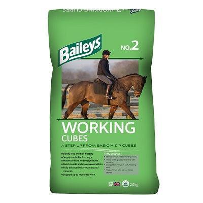 Baileys No. 02 Working Cubes 20kg