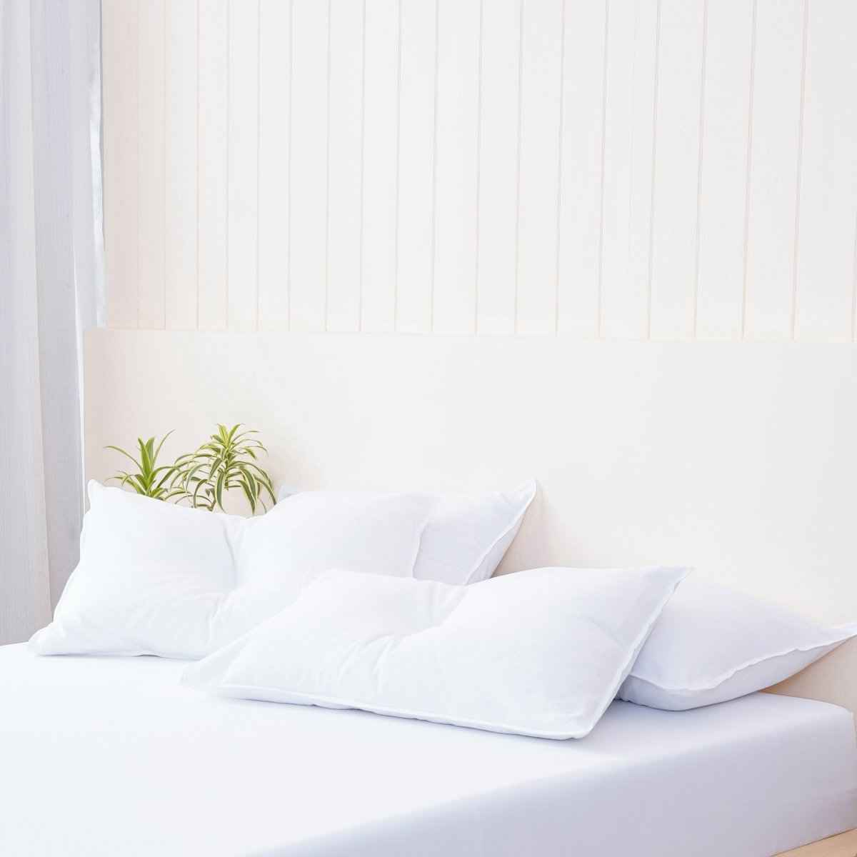 Bella Flannelette (Brushed Cotton) - White Pillowcases Pair