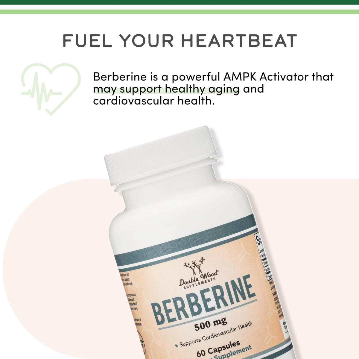 Berberine 500mg 60 Capsules – AMPK Activator for Cardiovascular Health