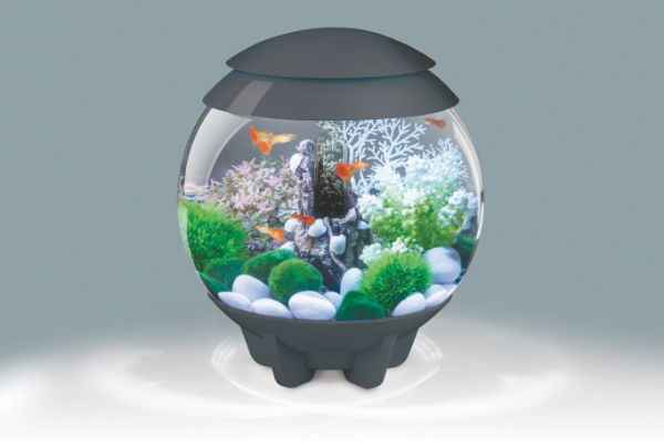 Biorb Halo 15 Multi Coloured Light Grey 15ltr