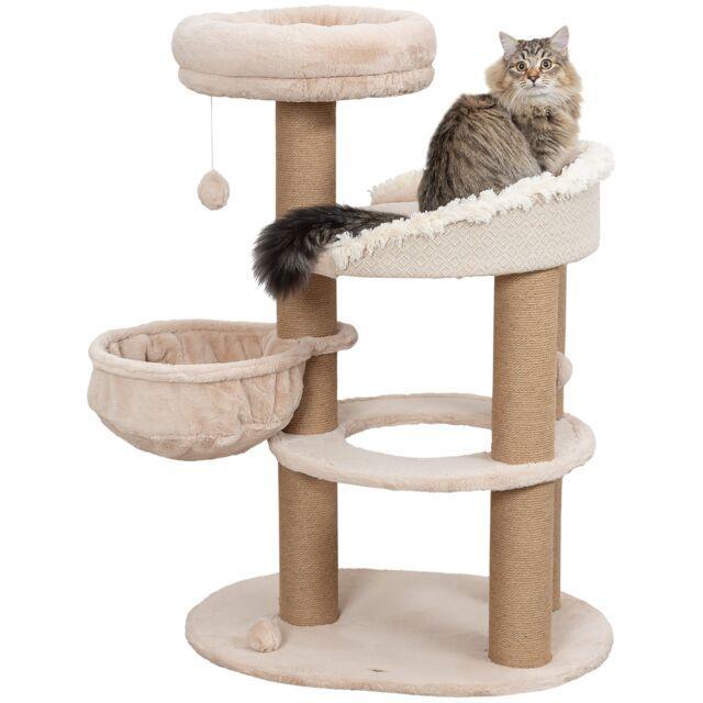 Boho Filippo scratching tree
