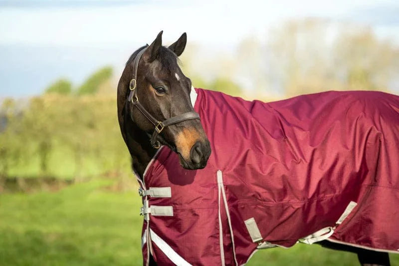 200G Detachable Neck Turnout Rug - Burgundy