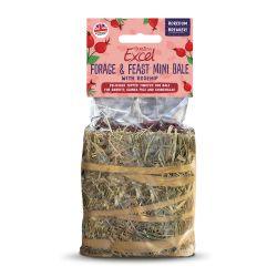 Burgess Excel Forage & Feast Mini Hay Bale Rosehip, 100g