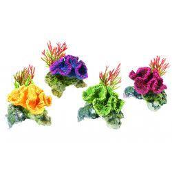 Classic Coral On Rocks - Case of 4