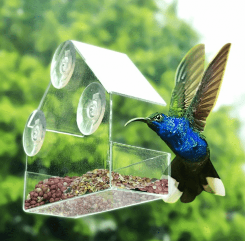 Perspex Window Bird Feeder Clear Suction Cup Feeding Tray 44.5cm