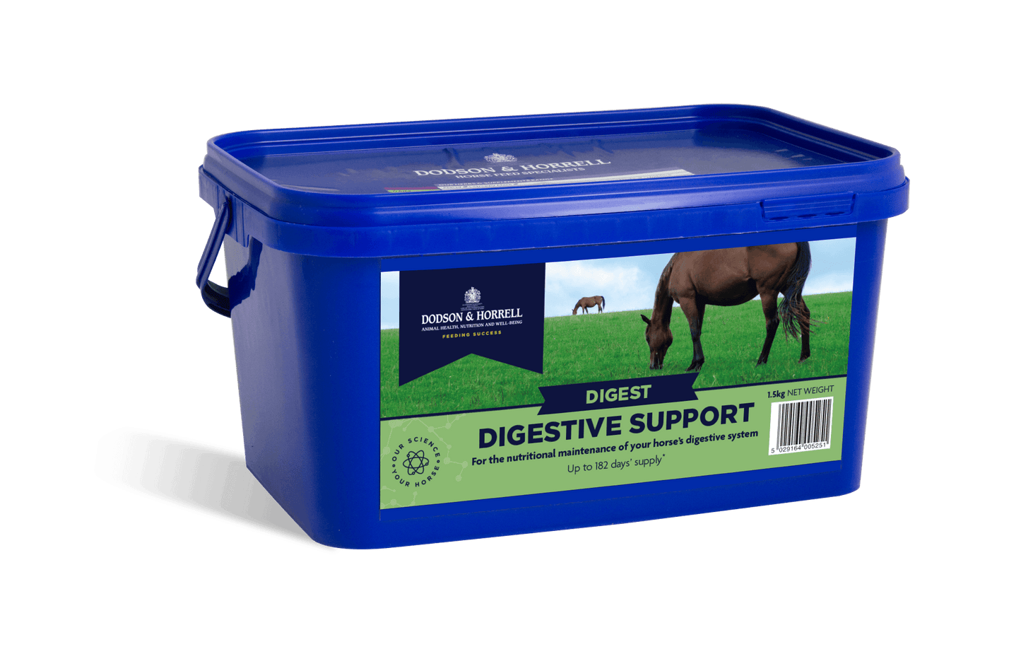 D & H Digestive Support
