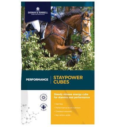 D & H Performance Staypower Cubes 20kg