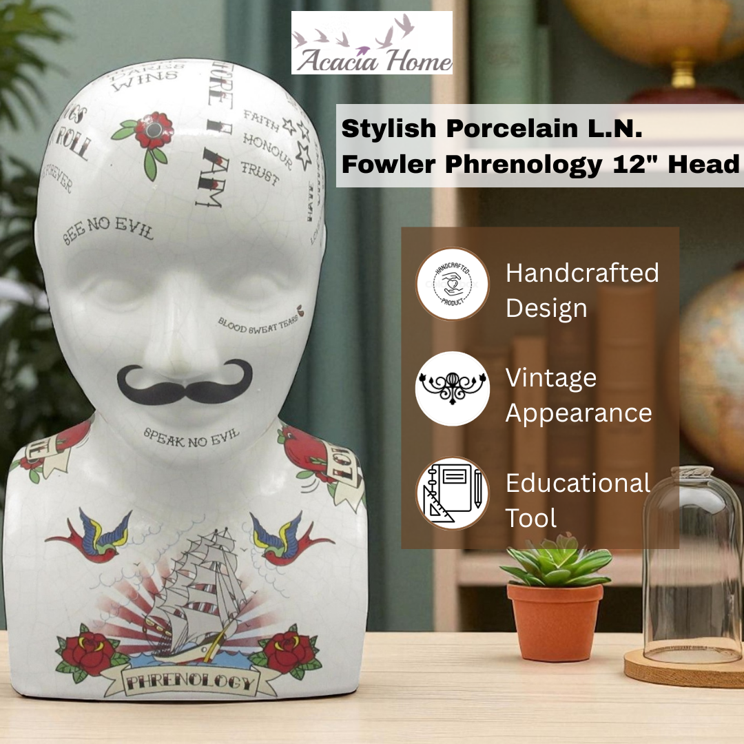 12" PHRENOLOGY HEAD