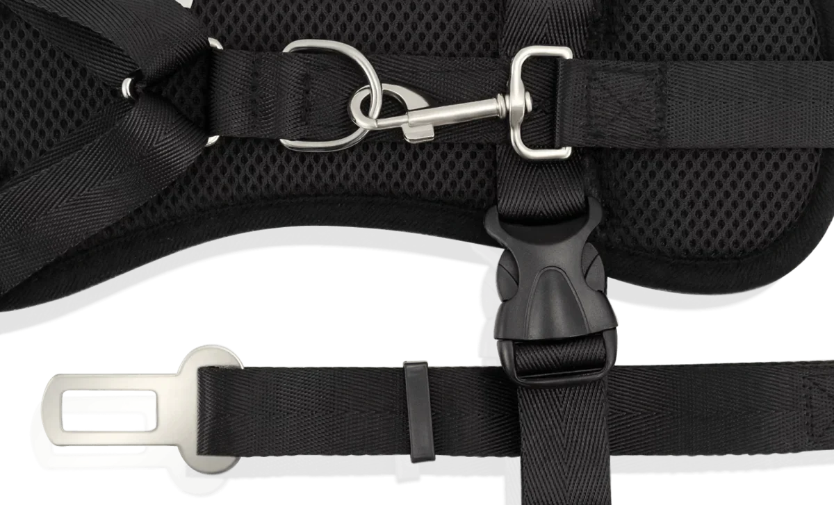 Dog Strap Harness - Small