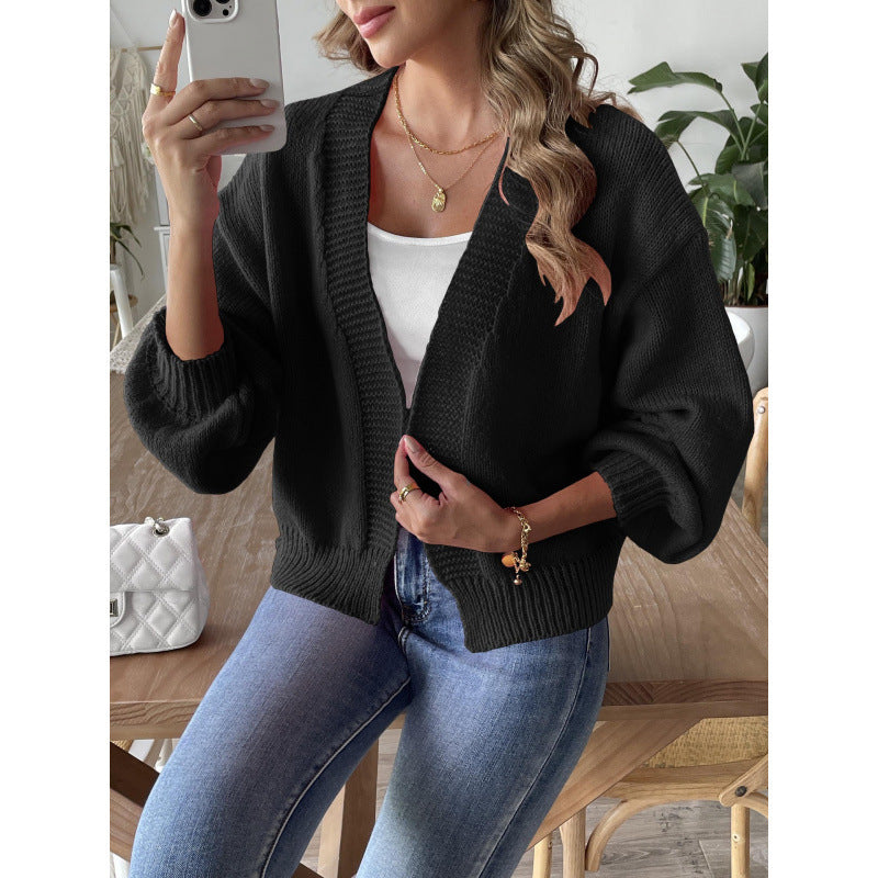 Women's Lantern Sleeve Simple Casual Short Sweater