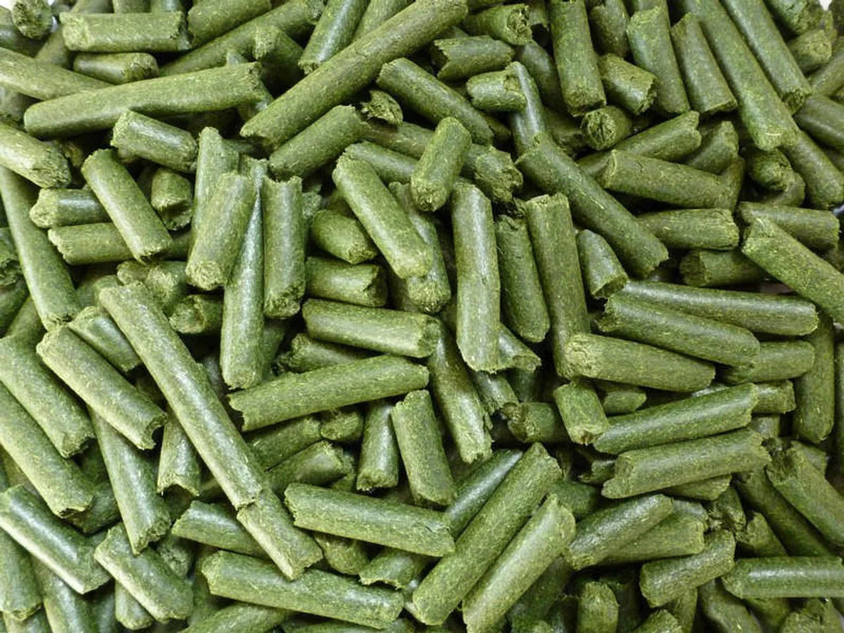 Meadow Grass Pellets Grazing Bag – 500g
