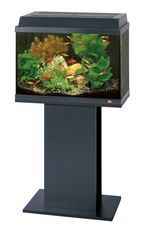 Flat Pack Stand Rekord 600/700 Korall 60 Beech 51x31x63cm