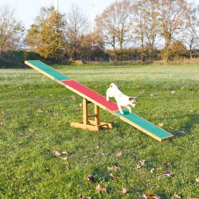 Fun Agility seesaw