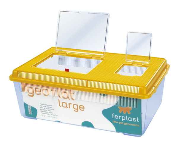 Geo Plastic Tank Flat Lge Mixed Colours 46.7x30.5x17.5cm