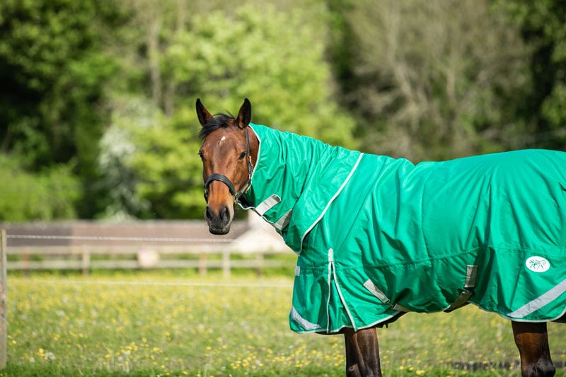 200G Detachable Neck Turnout Rug - Green