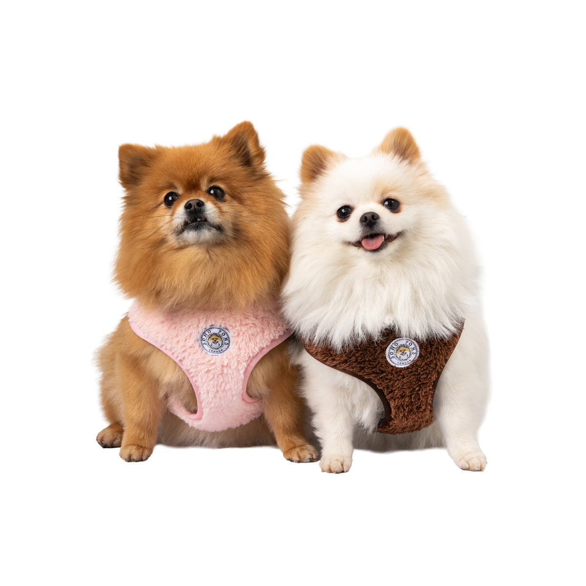 Blush Rose | Carnaby Harness