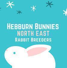 Rabbit Rescue & Rehoming Donations