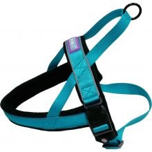 Hem & Boo Padded Harness Aqua