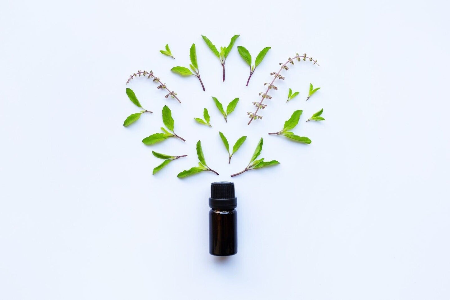 Herbalshire Handmade Natural Head Lice Shampoo - 250ml - Essential Oils for Lic