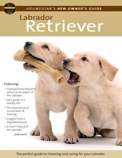 Houndstars Dvd New Owner Guide Labrador Retriever