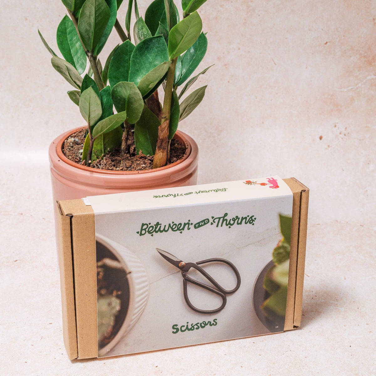 Pruning Scissors