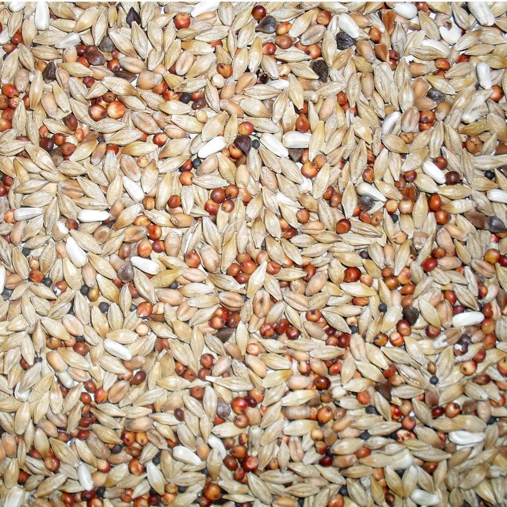 Johnston & Jeff Euro Depurative Pigeon Mix 20kg