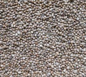 Johnston & Jeff Hemp Seed 12.5kg