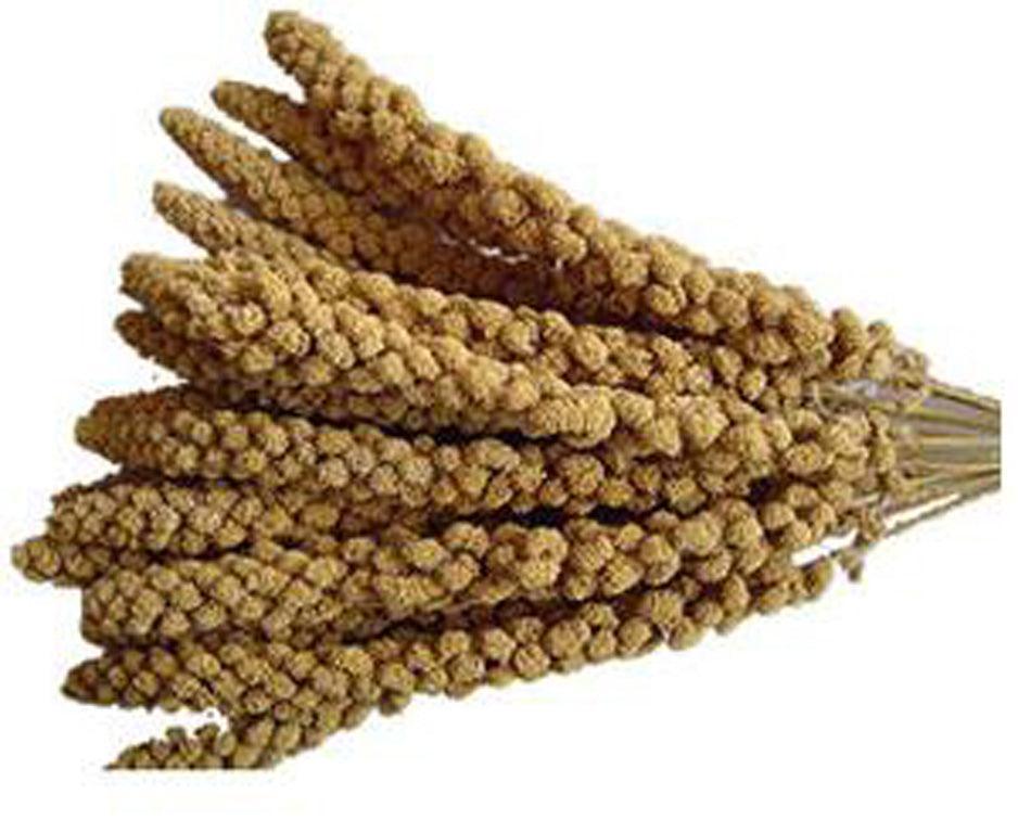 Johnston & Jeff Millet Spray Bird Treat 15kg