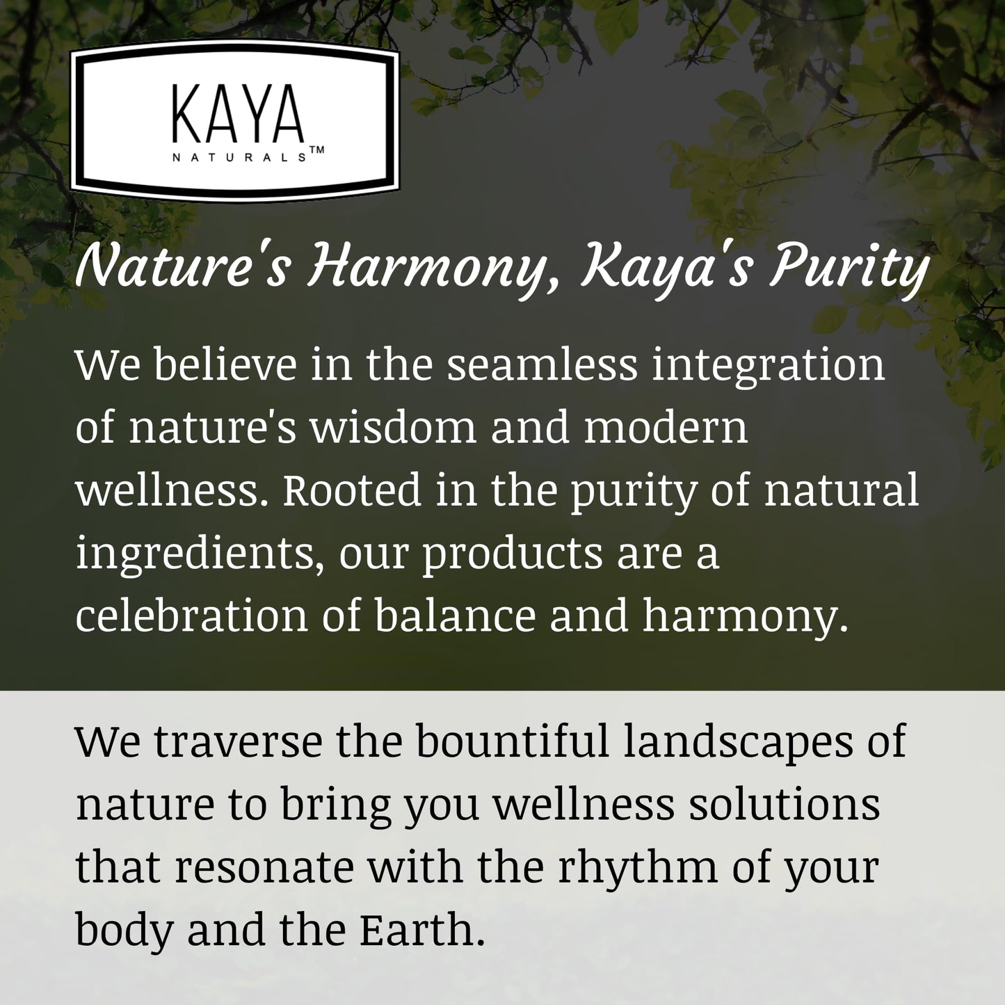 Kaya Naturals D-Mannose Urinary Tract Support – Cranberry, Hibiscus & Dandelion Root | 30 Veggie Capsules