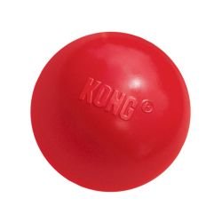 KONG Ball Small With Hole