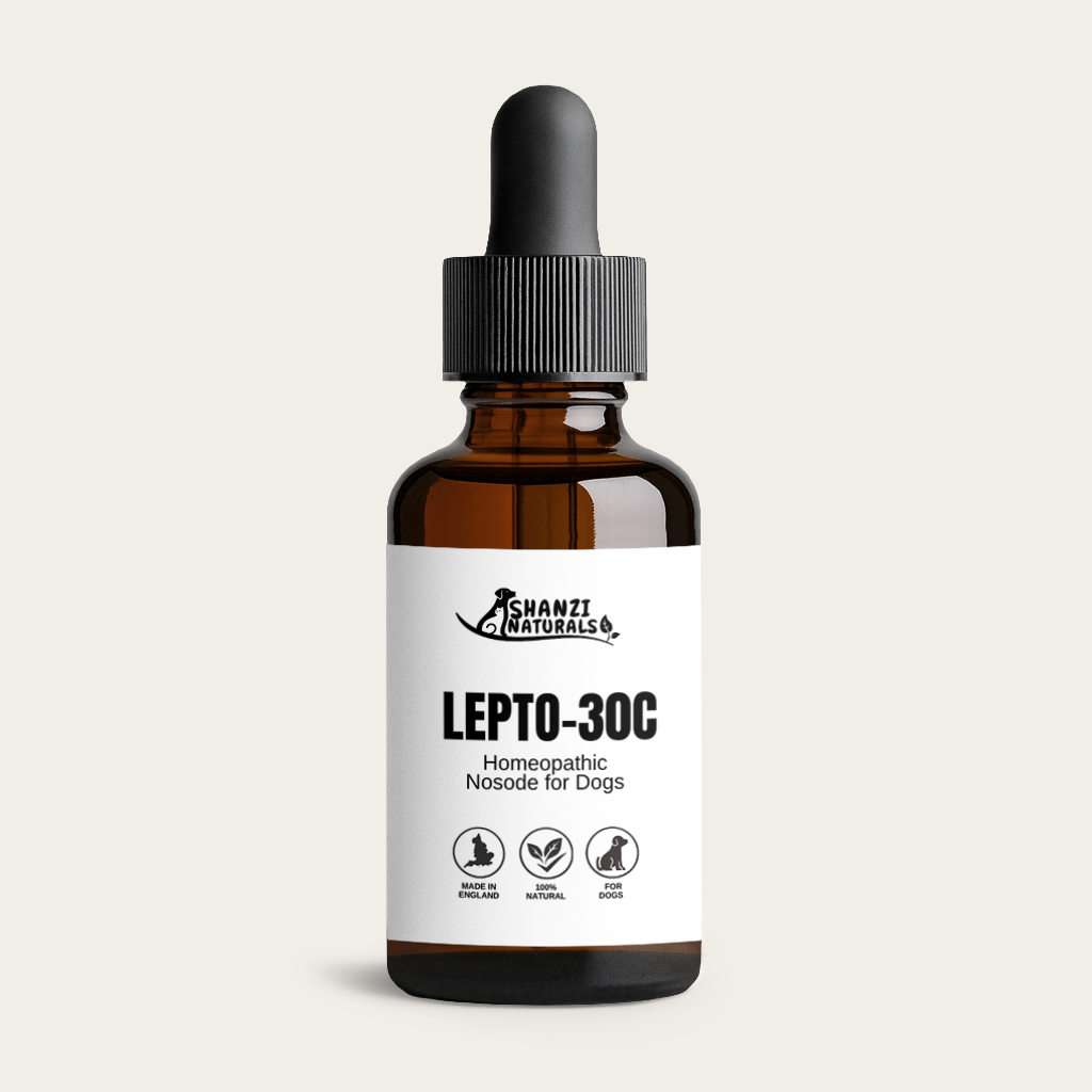 Lepto 30c Nosode – Natural Homeopathic Support for Dogs
