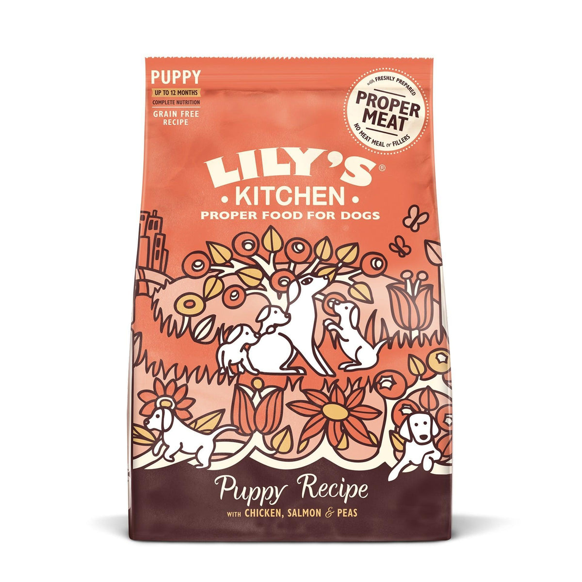 Lily's Kitchen Puppy Chicken & Salmon 7kg