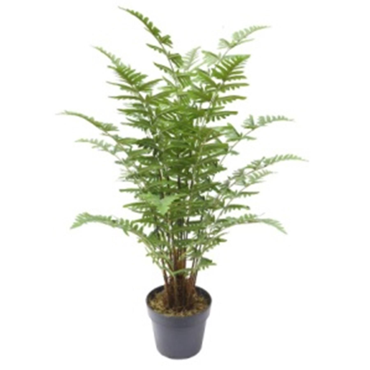 75cm Artificial Fern Plant