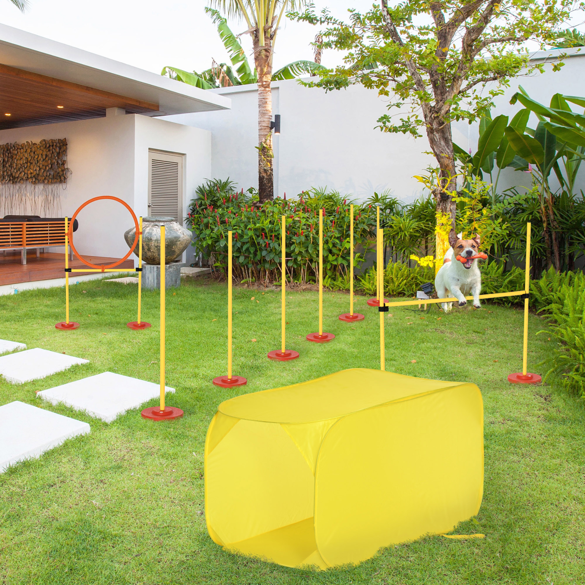 Dog agility training equipment