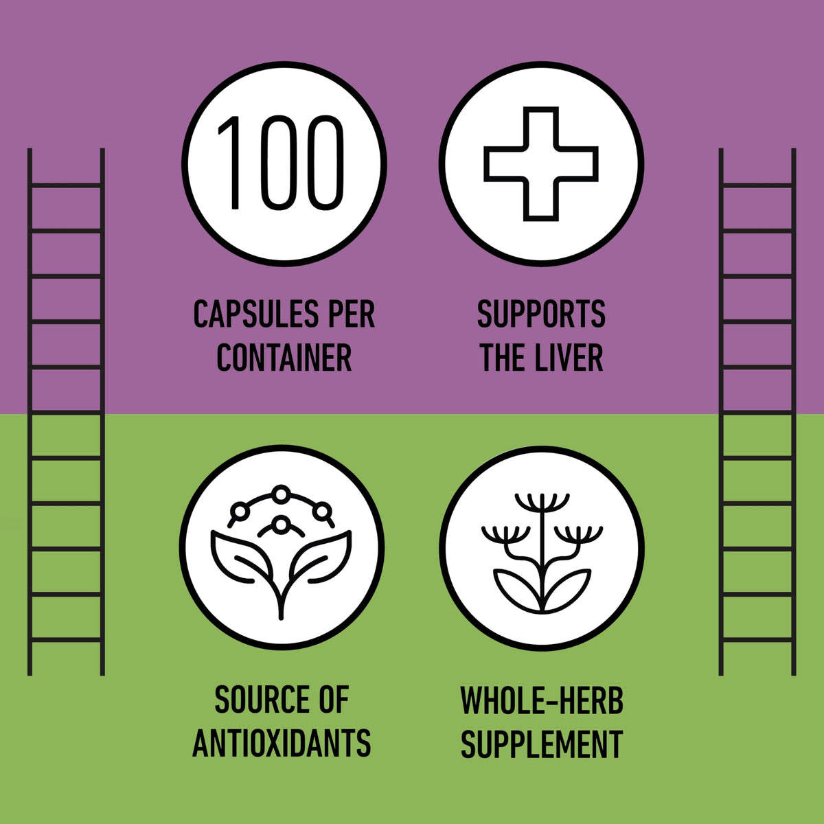 Milk Thistle Capsules 500 mg Silymarin – Pure Organic, Pack of 2 (200 Capsules) | Complete Natural Products