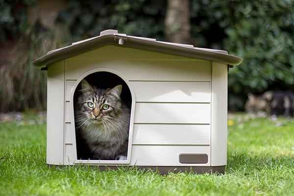 MP Bergamo Knock-down Pet House