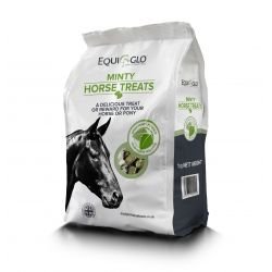 Mr Johnson's Horse Treats 1kg