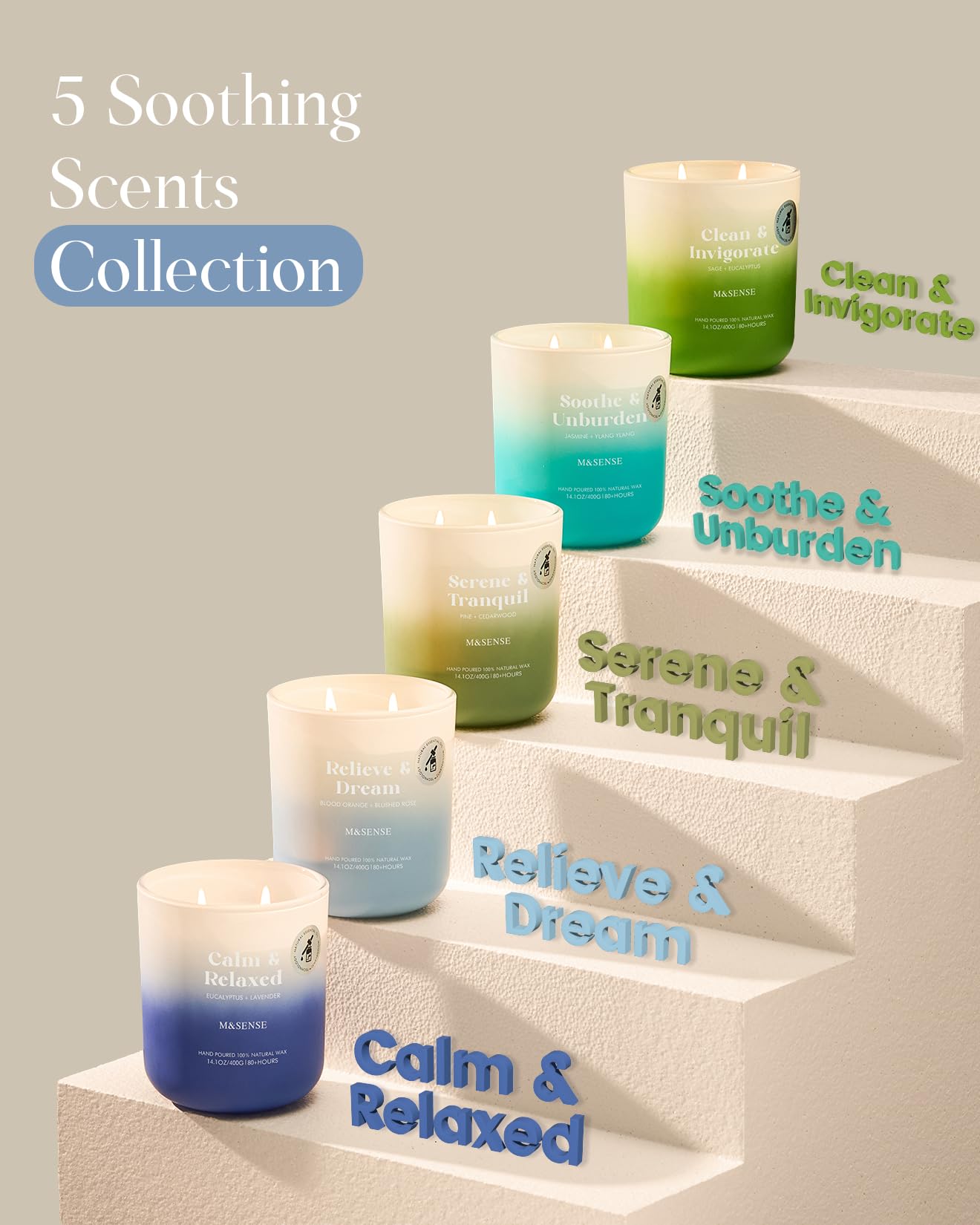 M&SENSE Pine Cedarwood Holiday Candle – 14.1oz, 80 Hours, Non-Toxic Soy Wax