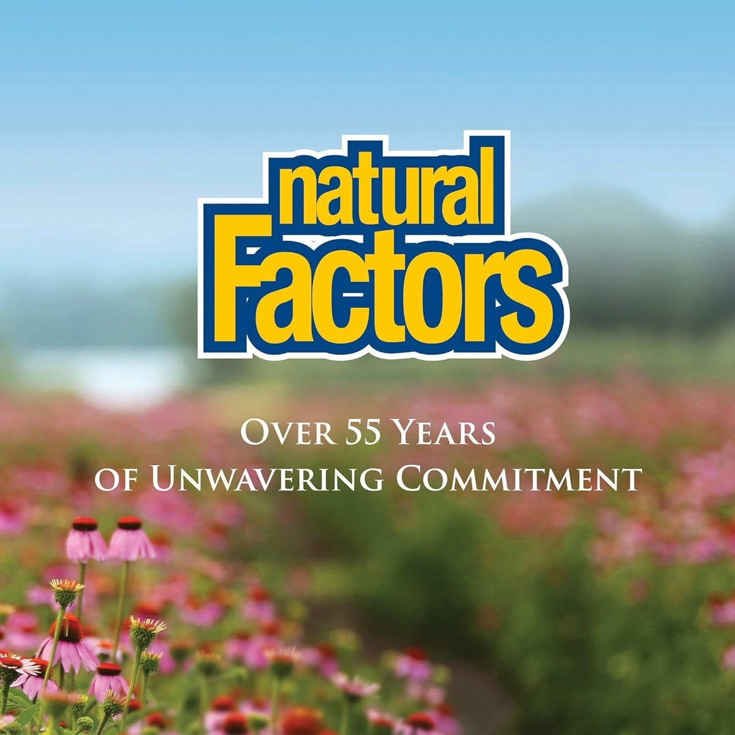 Natural Factors Anti-V Formula – Immune Support Supplement with Reishi & Licorice Root – 120 Softgels