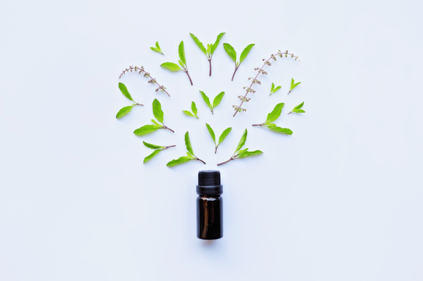 Herbalshire Animal Ache Oil | Natural Joint & Arthritis Relief for Dogs & Cats