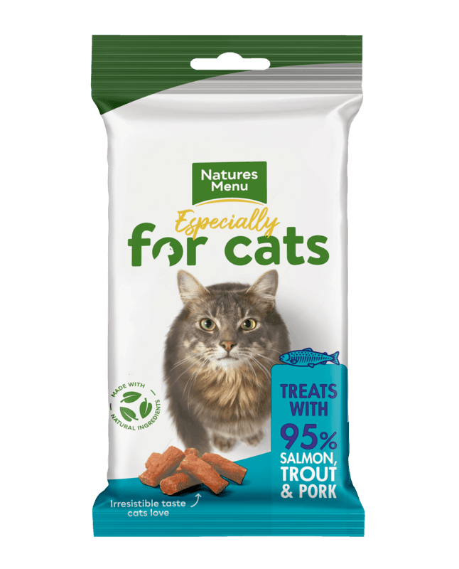 Natures Menu Cat Treat Salmon & Trout 12x60g