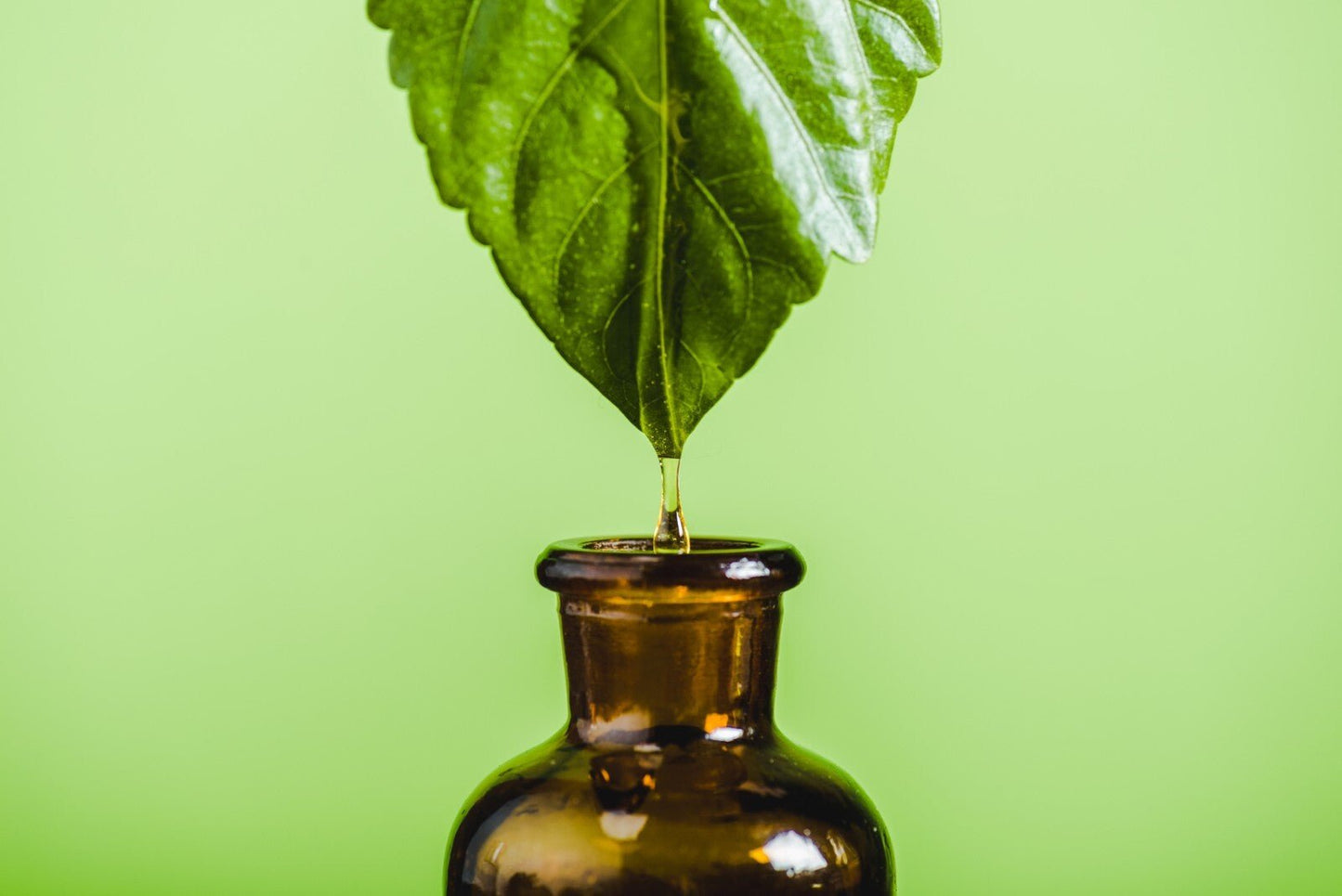 Neroli Essential Oil Pure Citrus Aurantium Amara Steam Distilled Tunisia Origin