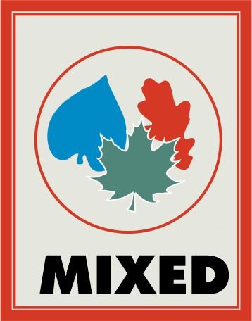 Miniature Leaf Punch - Beech, Elm, Birch Mix | Green Stuff World